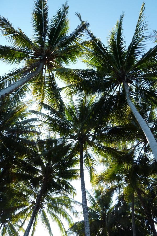 Kadidiri Paradise Batudaka Luaran gambar